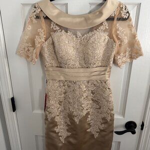 Elegant Lace and Satin Cocktail Dress ~ JJ's House